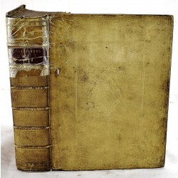 Liber Jobi: Cum Nova Versione ad Hebraeum (Habraeum) Fontem et Commentario Perpetuo